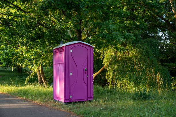 Best Portable restroom solutions  in St Joseph, IL
